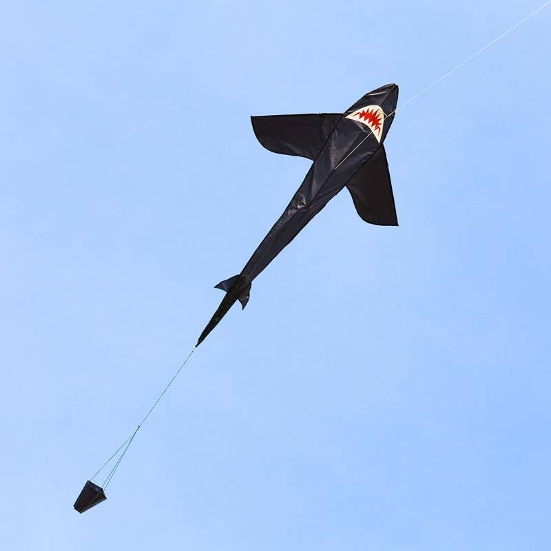 Ecoline Shark Kite 5'