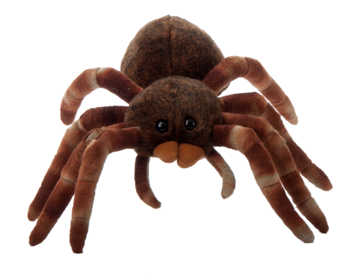 12" (26cm) Wild Onez Tarantula