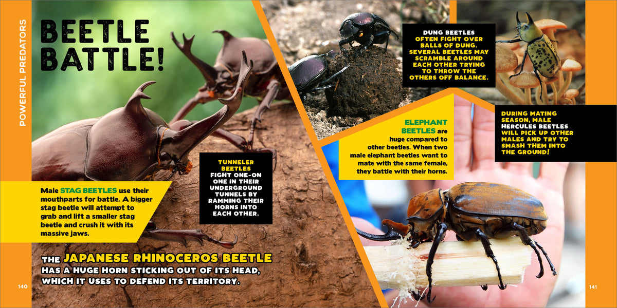 Fascinating Bug Book for Kids