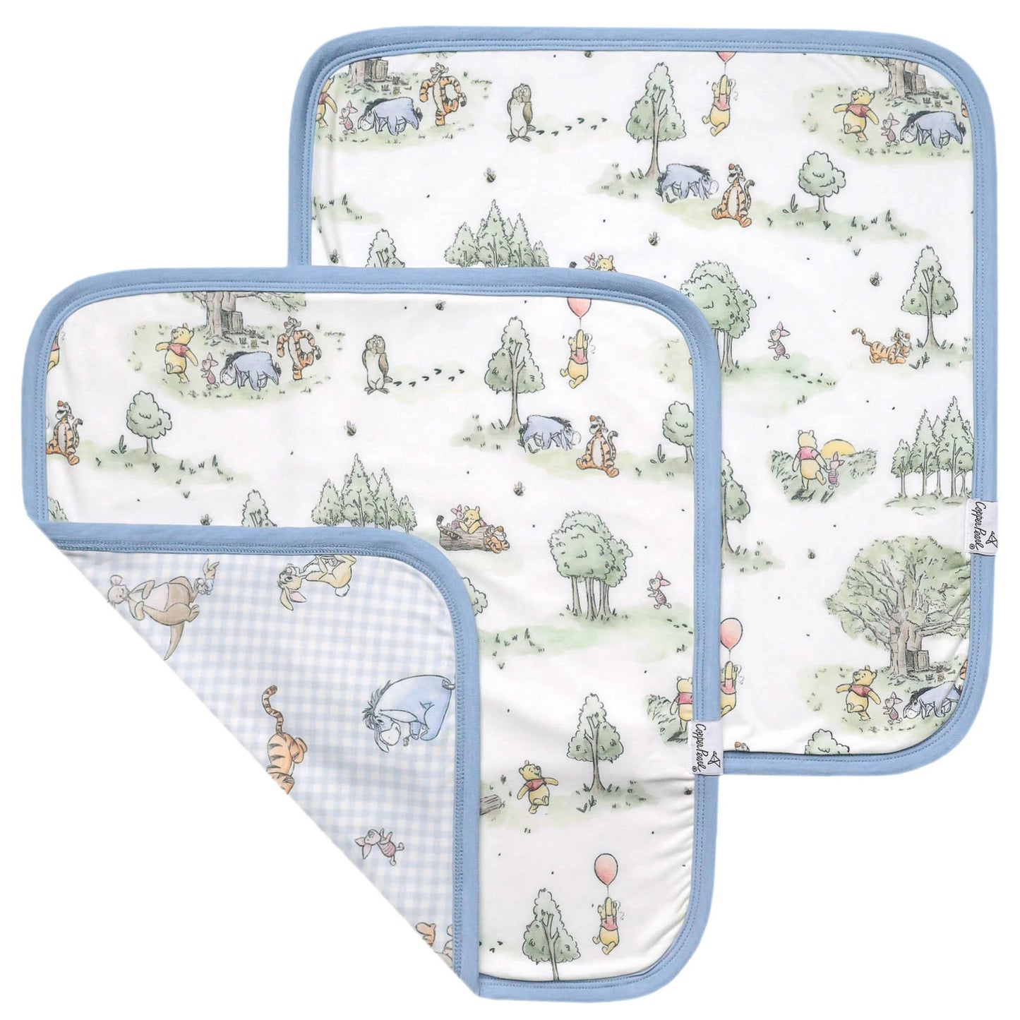 Hundred Acre Wood Security Blanket Set (2-Pack)