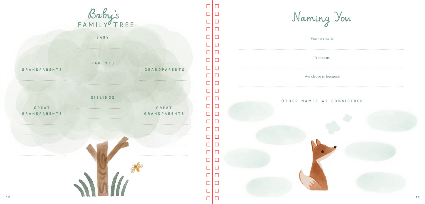 Baby's First Years - A Baby's Book and Keepsake Photo Album