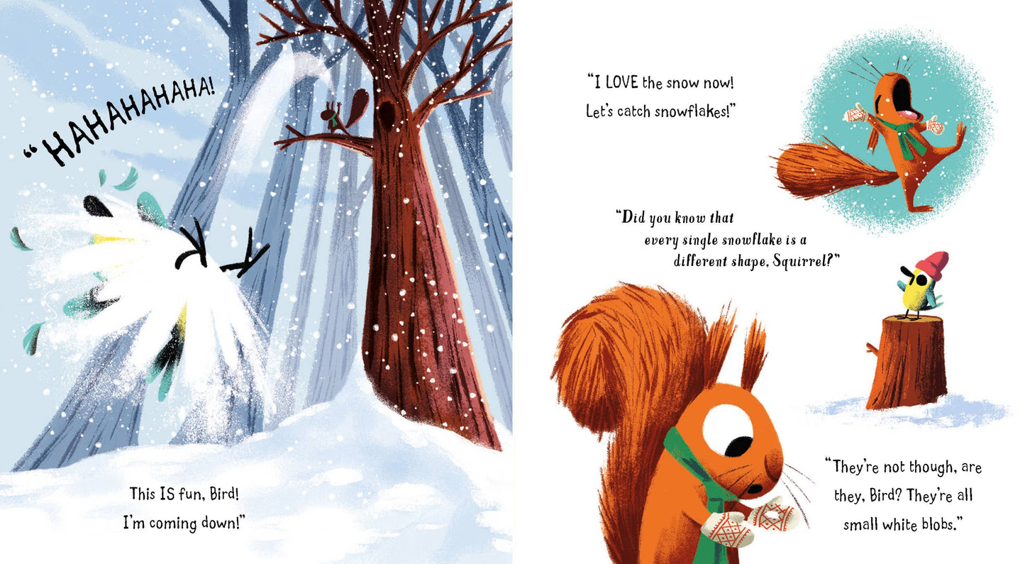 Snow Thief