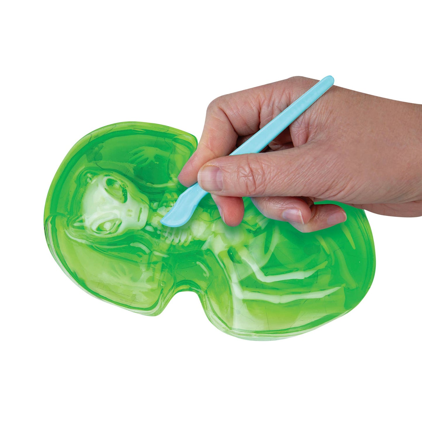 Goo-Natomy Alien