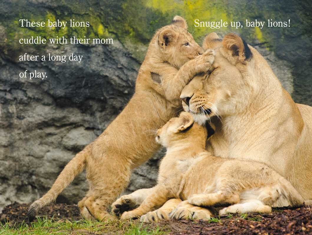 Snuggle Up, ZooBorns! by Andrew Bleiman