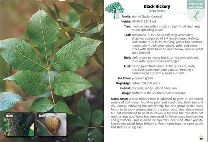 Trees of Indiana Field Guide 2e