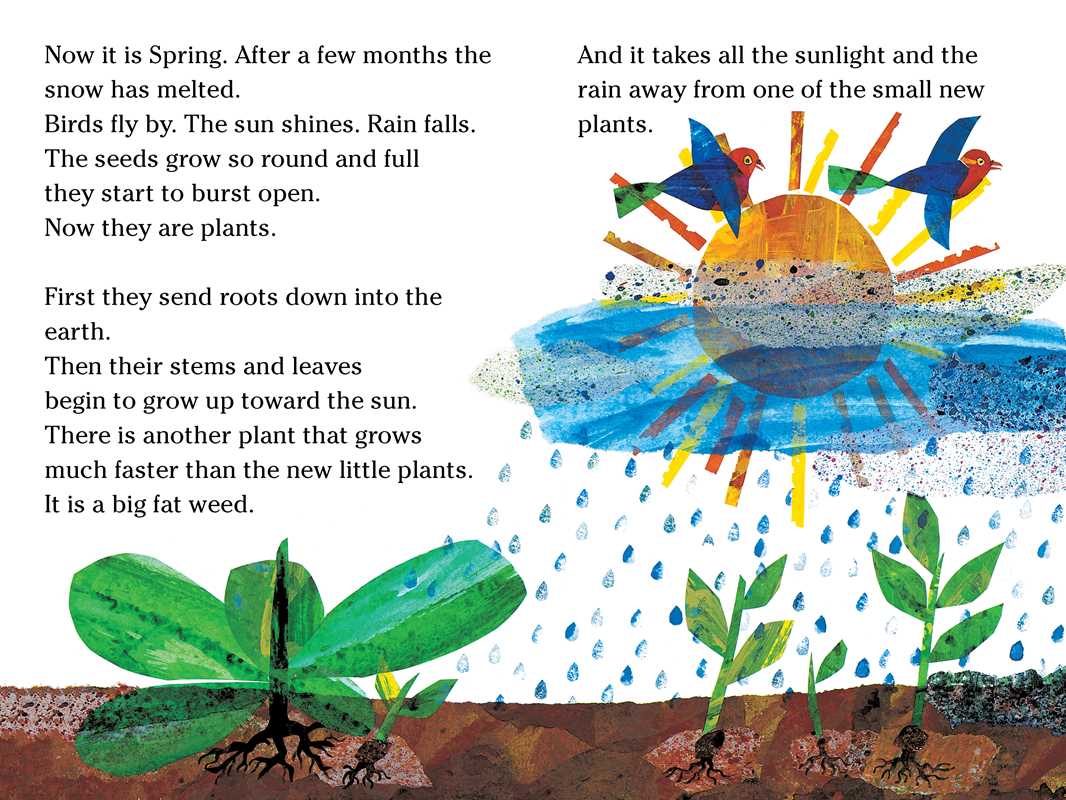 Tiny Seed/Ready-to-Read Level 2 by Eric   Carle