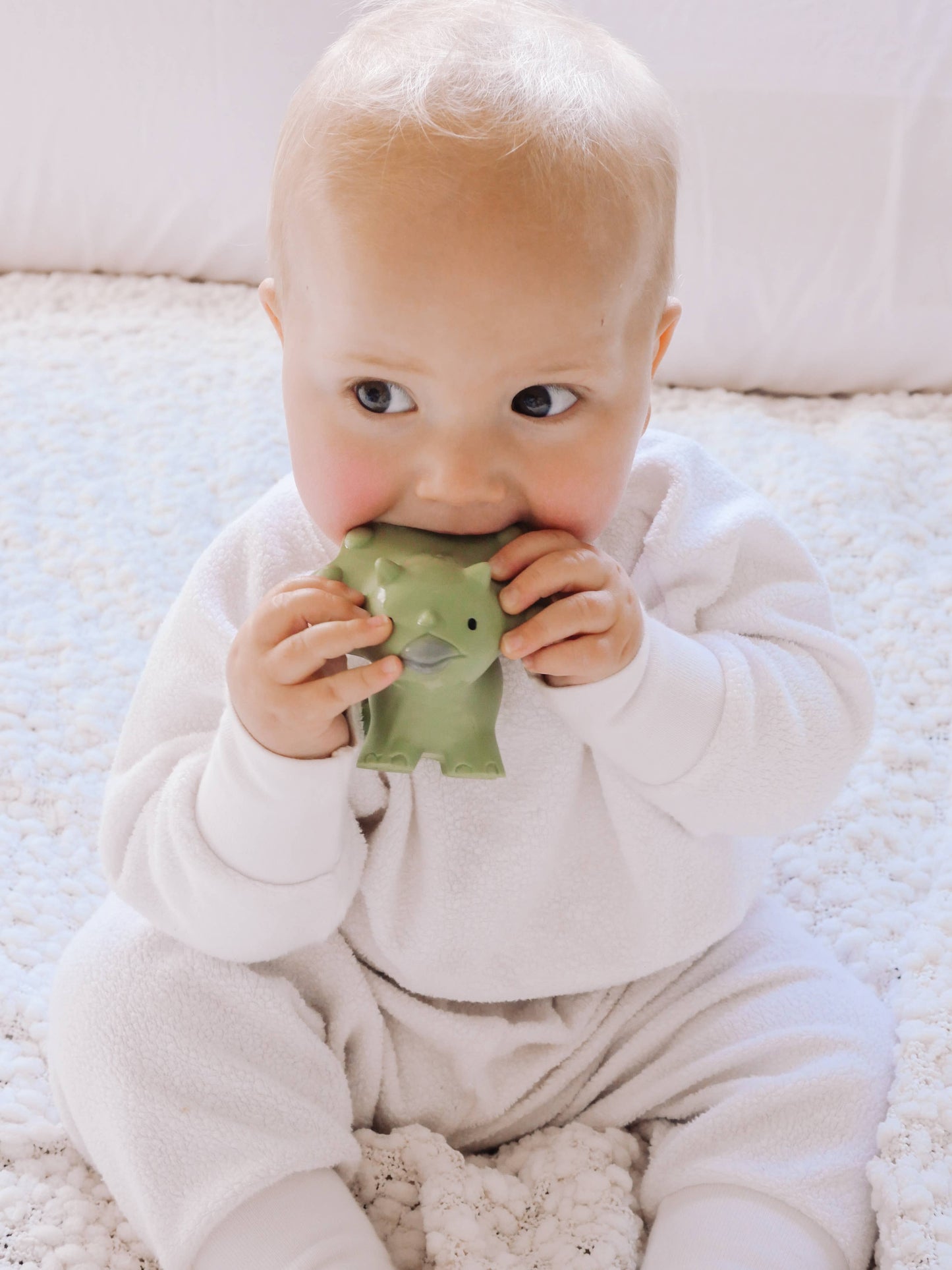 Trice Dinosaur Natural Rubber Teether, Rattle & Bath Toy