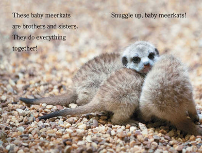 Snuggle Up, ZooBorns! by Andrew Bleiman