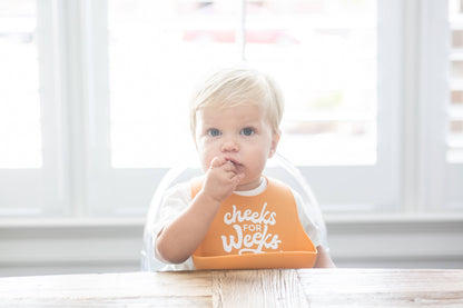 Cheeks For Weeks Wonder Bib