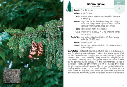 Trees of Indiana Field Guide 2e