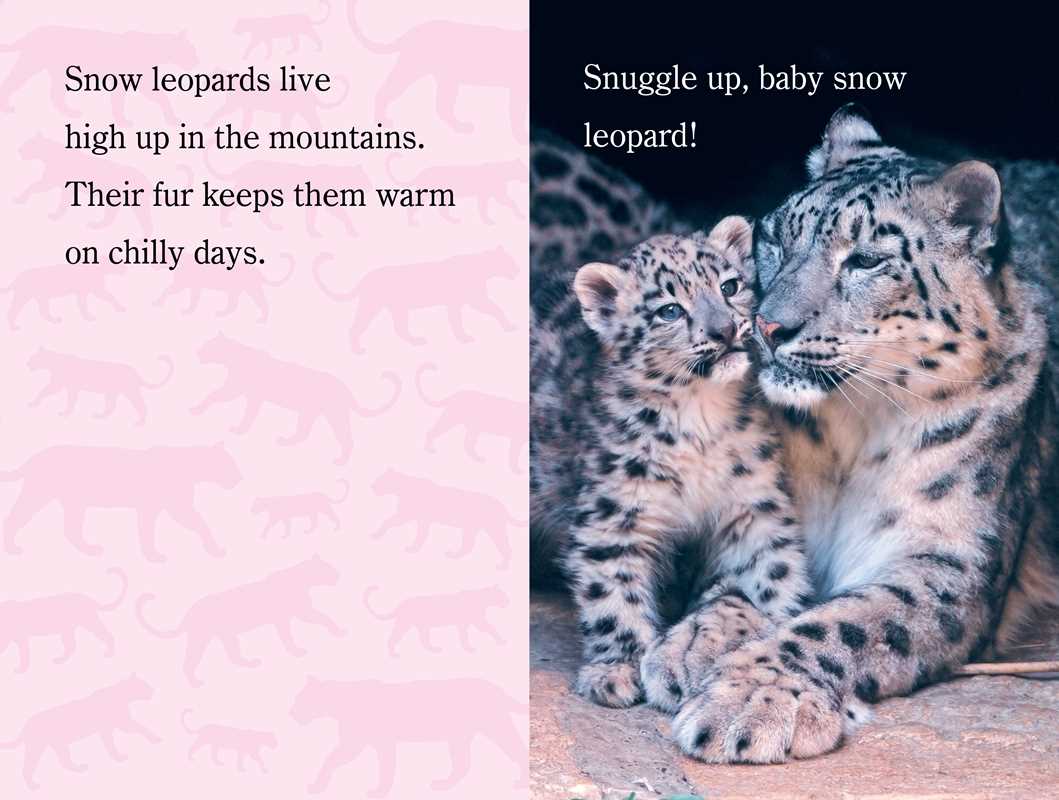 Snuggle Up, ZooBorns! by Andrew Bleiman