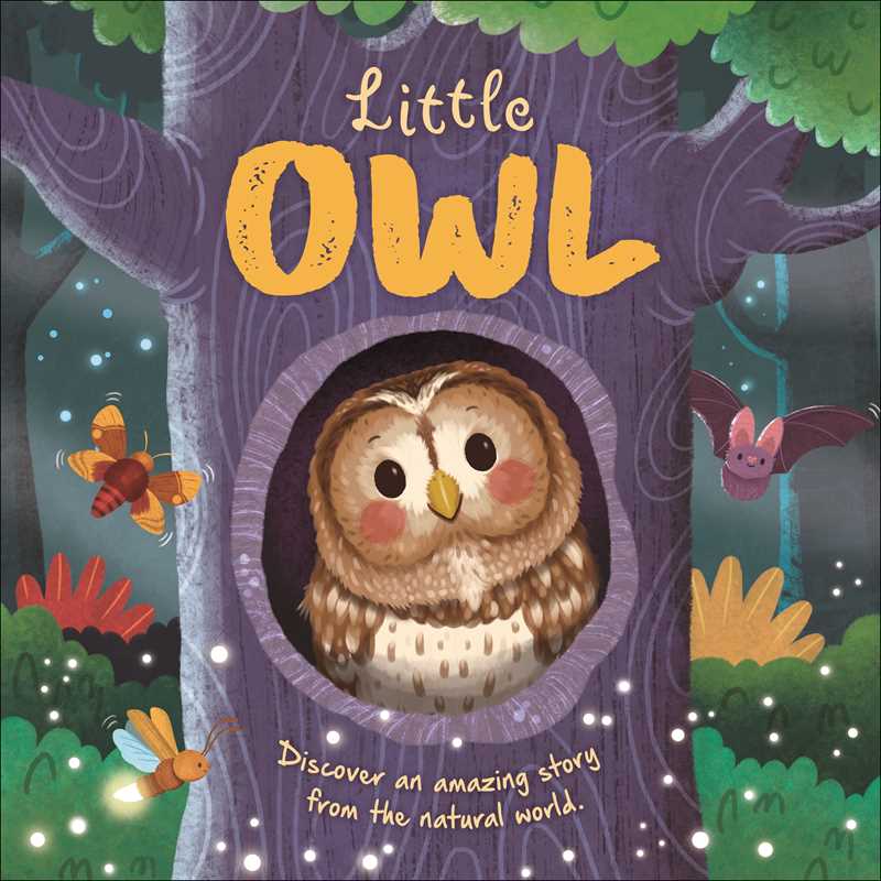 Nature Stories: Little Owl-Discover an Amazing Story
