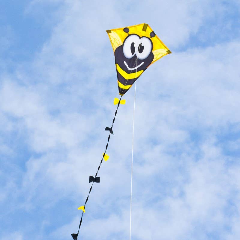 Ecoline EddyBumble Bee 20"