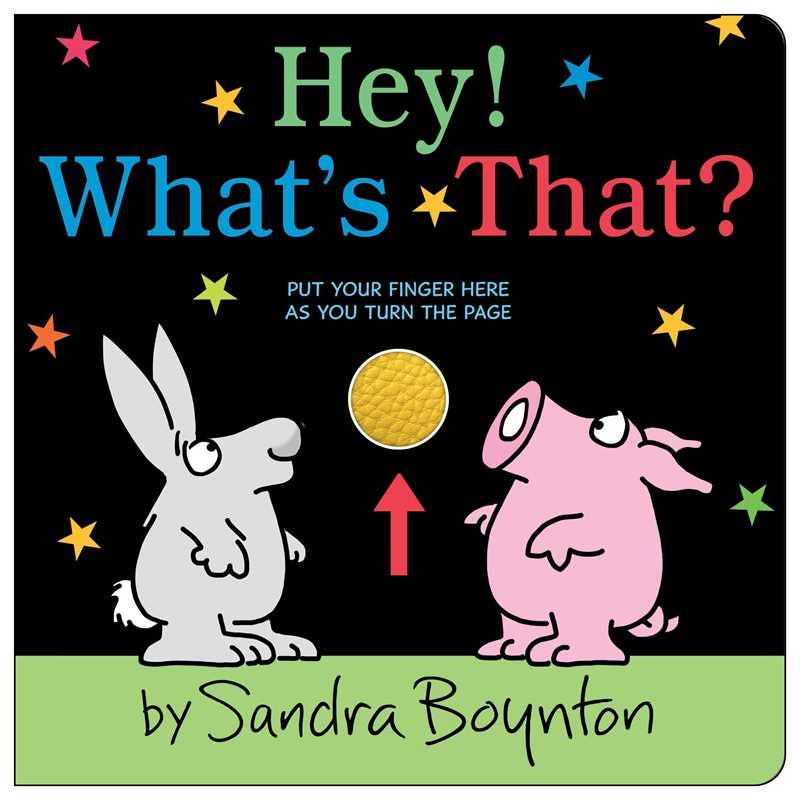 Hey! What's That? by Sandra Boynton