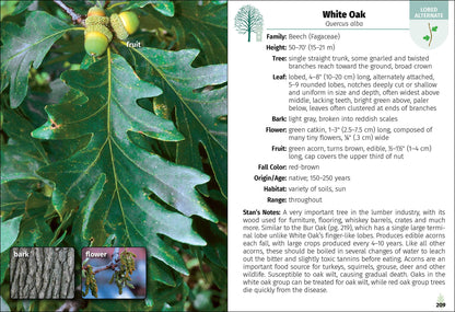 Trees of Indiana Field Guide 2e