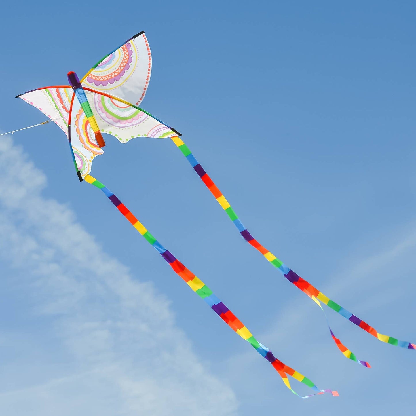 Butterfly 23" Coloring Kite