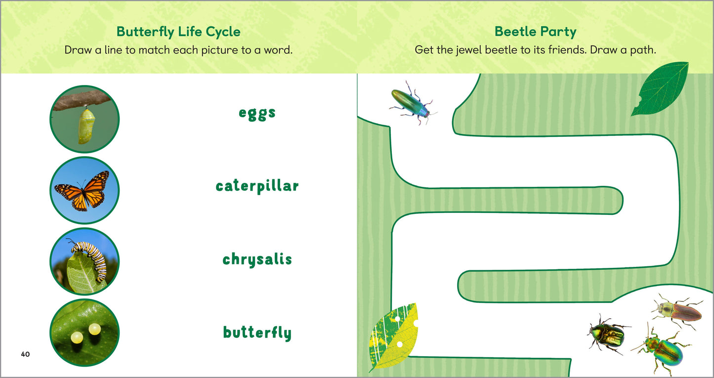 Backyard Bug Book for Kids