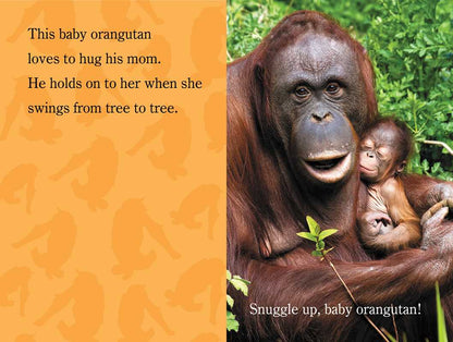 Snuggle Up, ZooBorns! by Andrew Bleiman