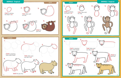 Learn to Draw Everything