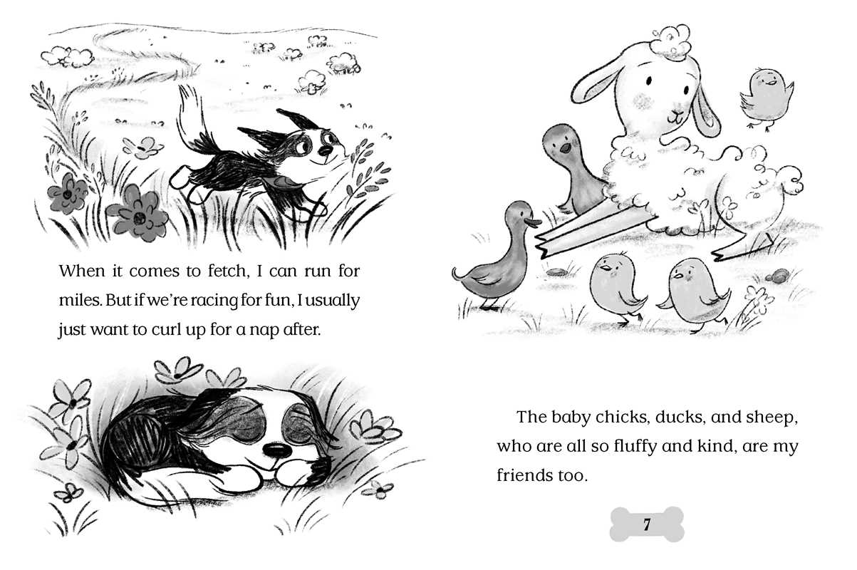 Barnyard Buddies by Cam Higgins