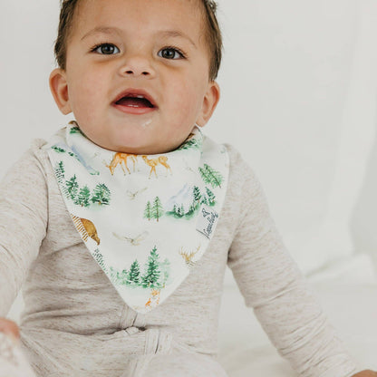 4 Pack Baby Bandana Bibs - Grayson