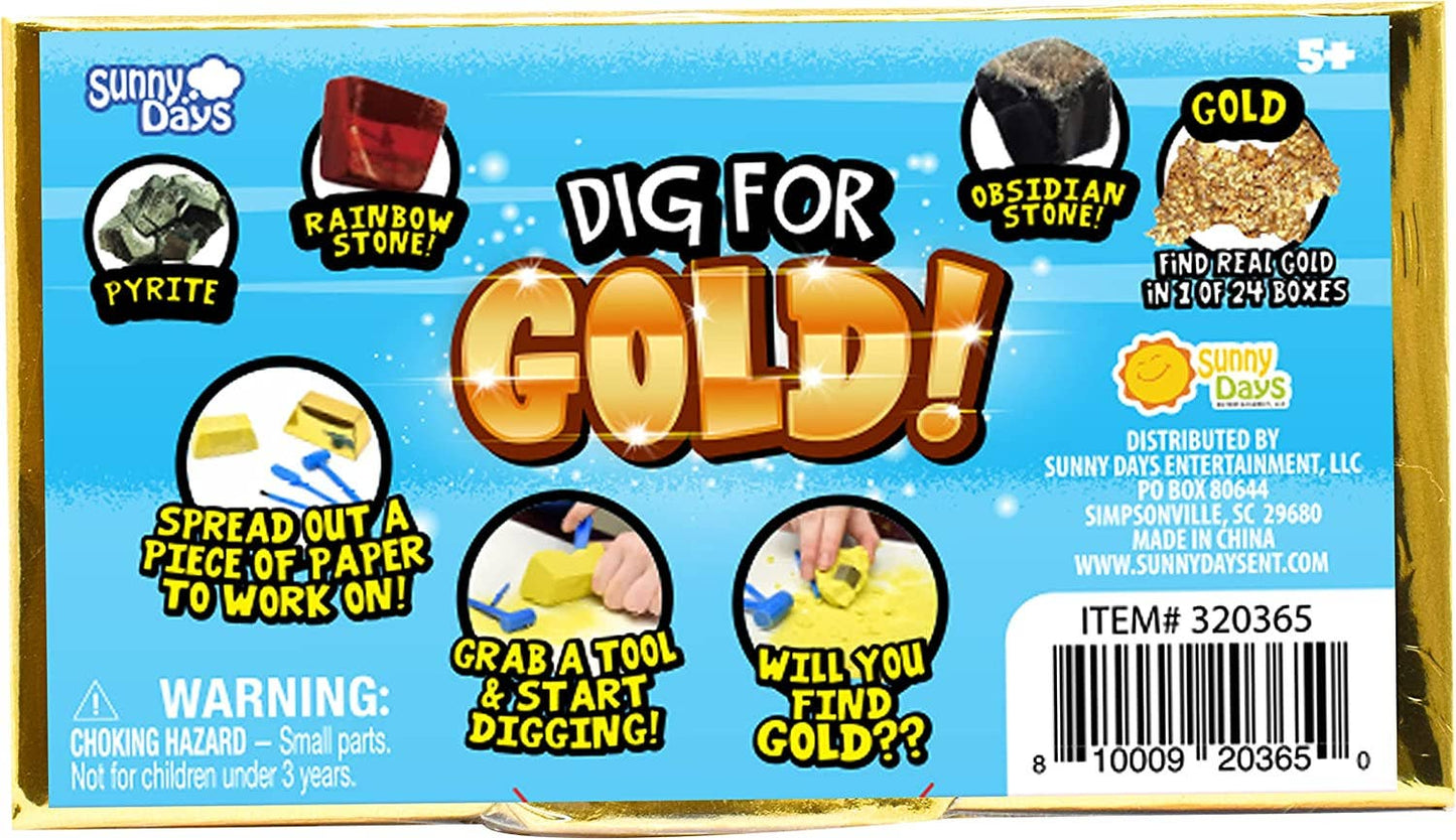 Sunny Days Fun Gold Dig