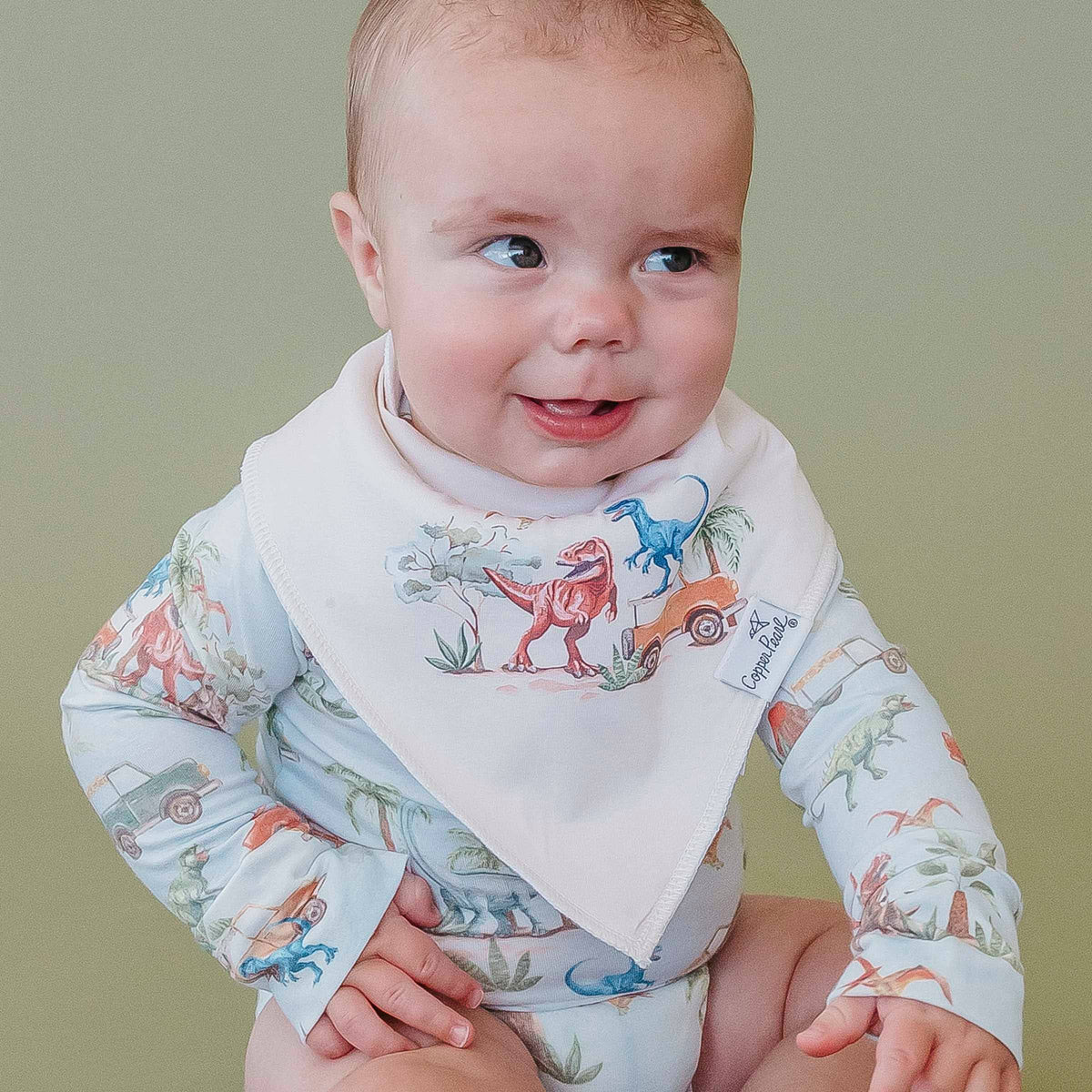 4 Pack Baby Bandana Bibs - Dino Explorer
