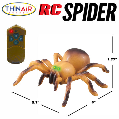 Remote Control Spider