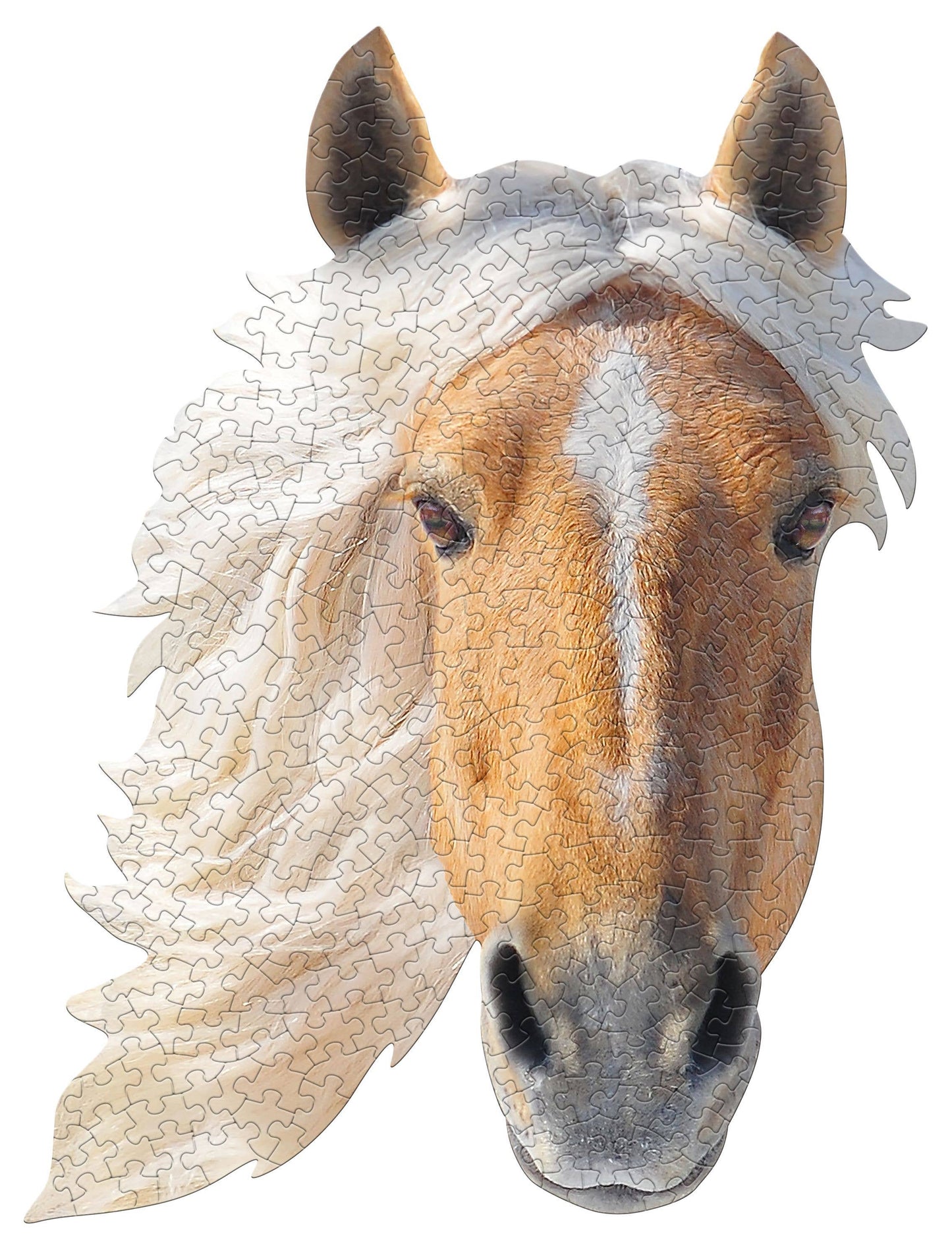 I AM Horse 300 piece jigsaw puzzle - gift