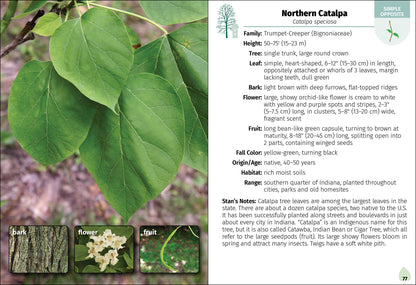 Trees of Indiana Field Guide 2e