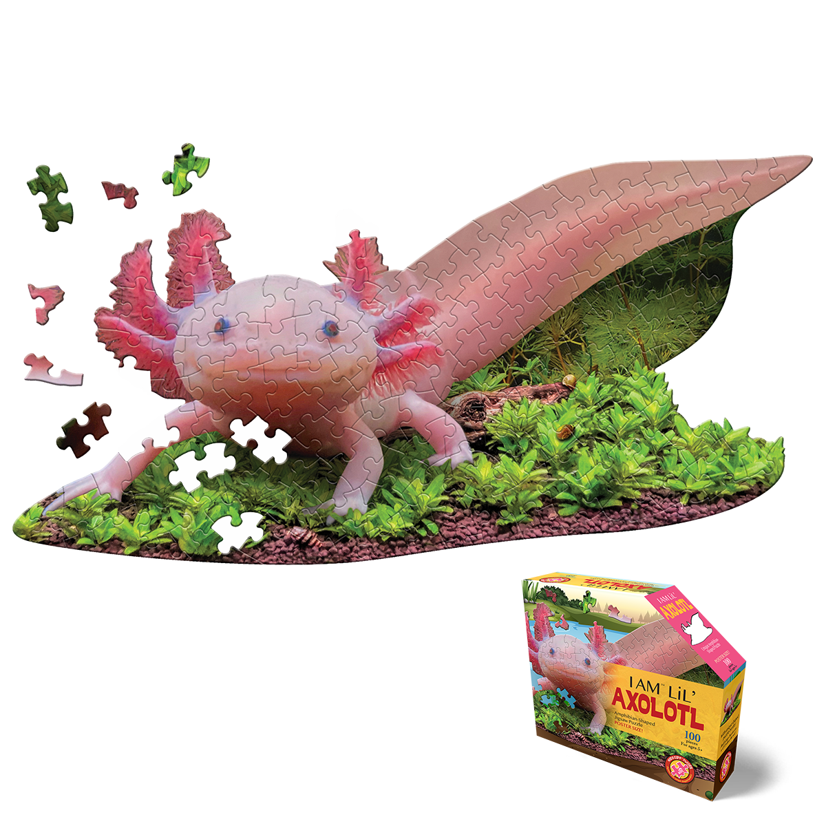 I AM 'LiL AXOLOTL 100 piece kids jigsaw puzzle - great gift!