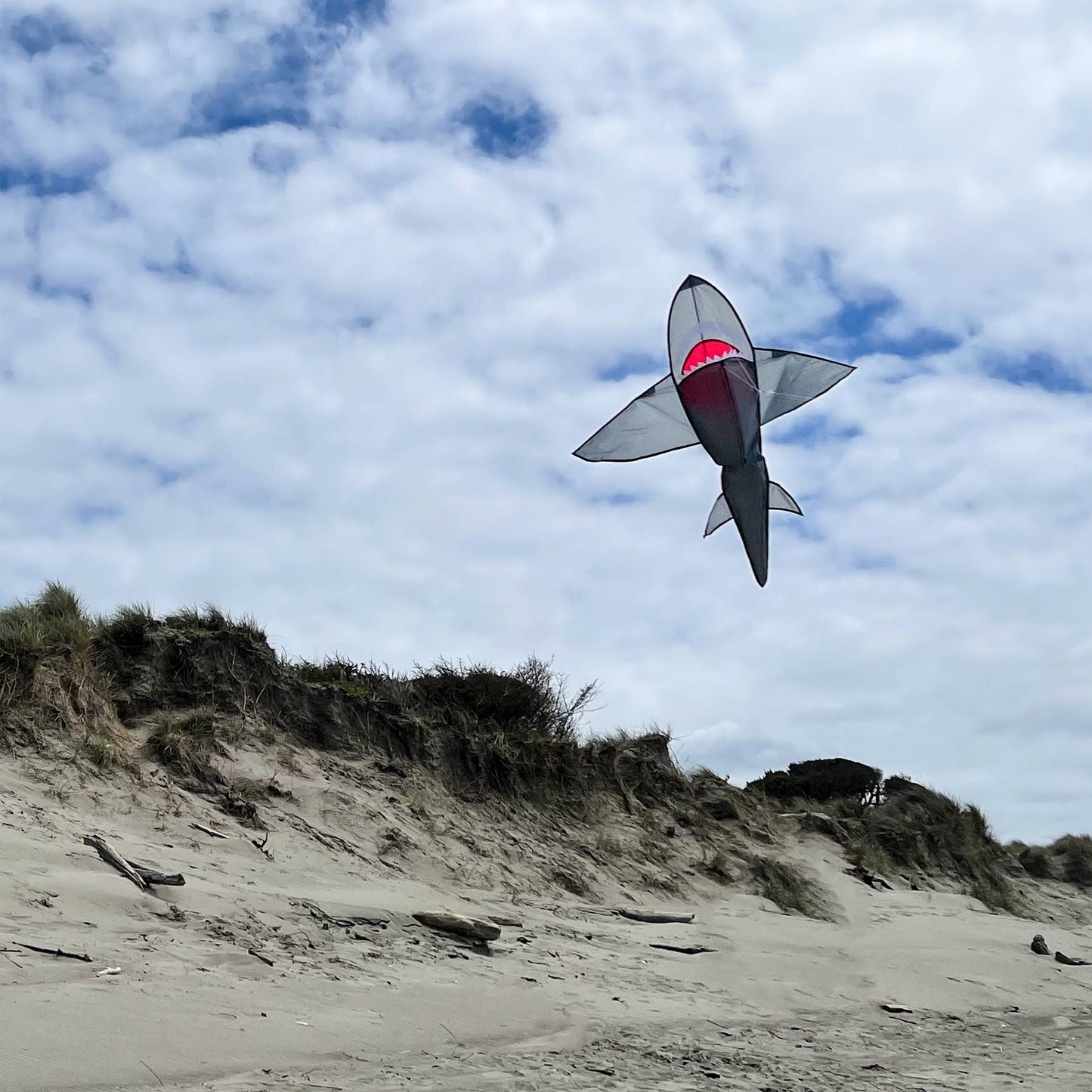 5' 3D Grey Shark Kite