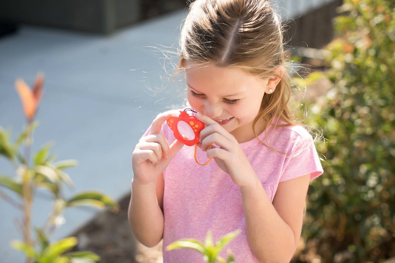 Butterfly Magnifier