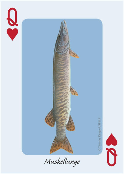 Fish of the Midwest Playing Cards