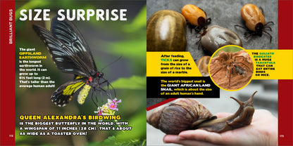 Fascinating Bug Book for Kids