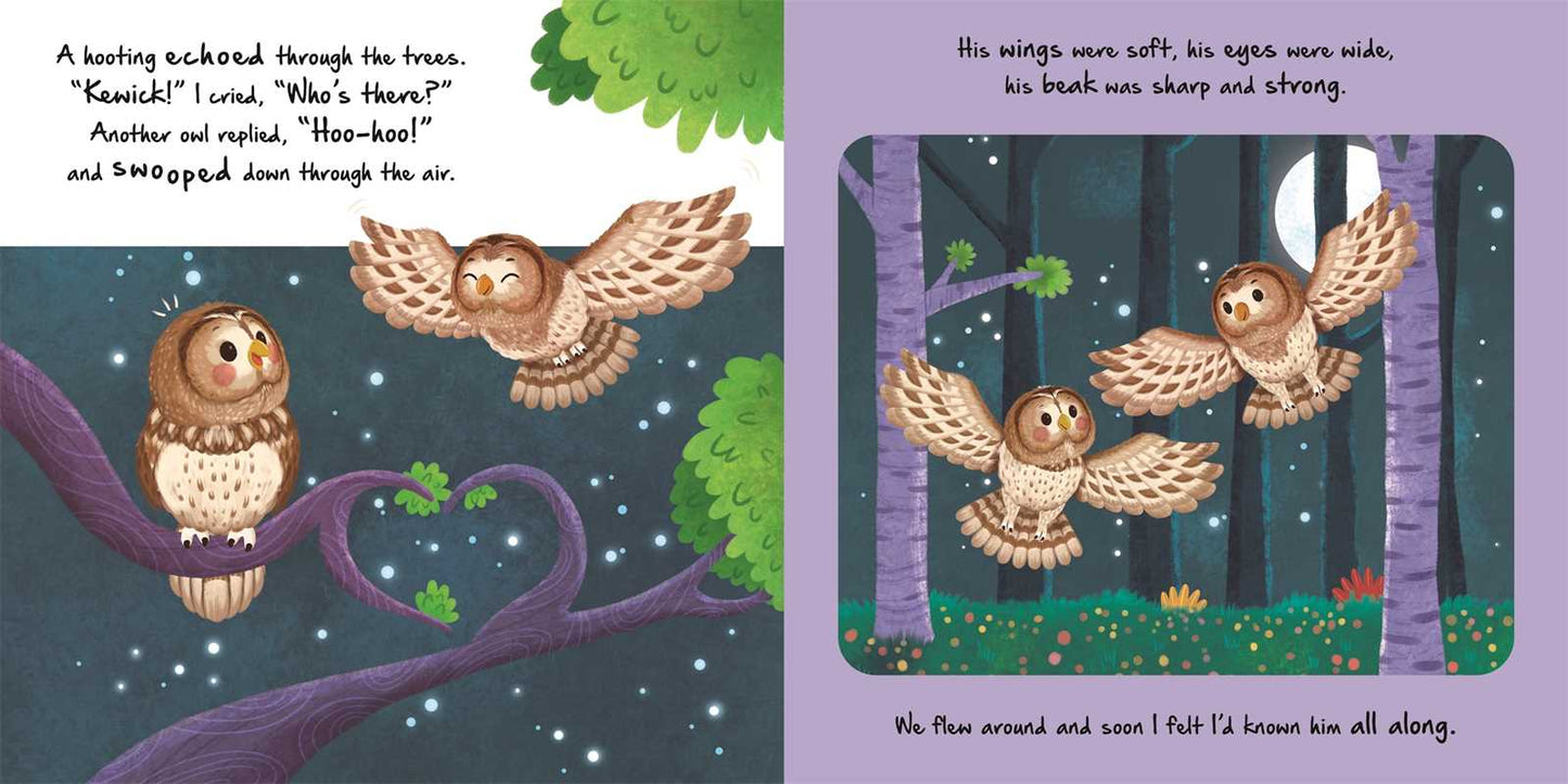 Nature Stories: Little Owl-Discover an Amazing Story