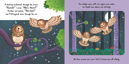 Nature Stories: Little Owl-Discover an Amazing Story