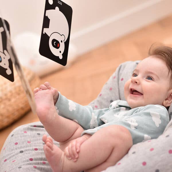 High Contrast Flash Cards on a Ring for newborn and baby 3m+