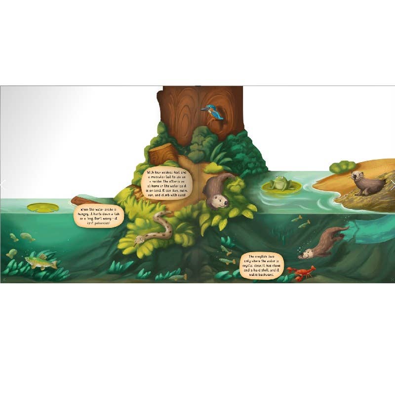 Board Book - The Riverbank Layered