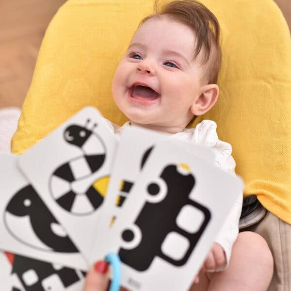 High Contrast Flash Cards on a Ring for newborn and baby 3m+