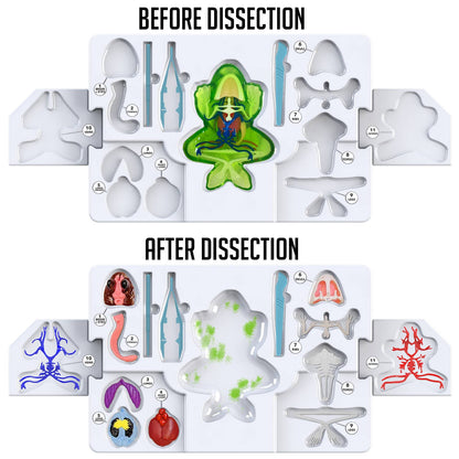 Dissect-It® Super Frog Lab