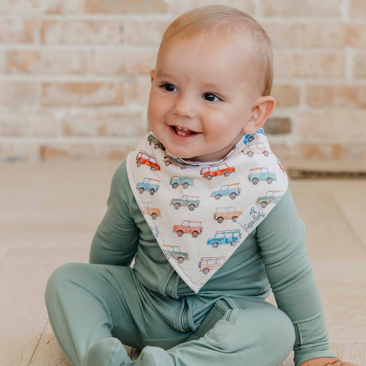 4 Pack Baby Bandana Bibs - Dino Explorer