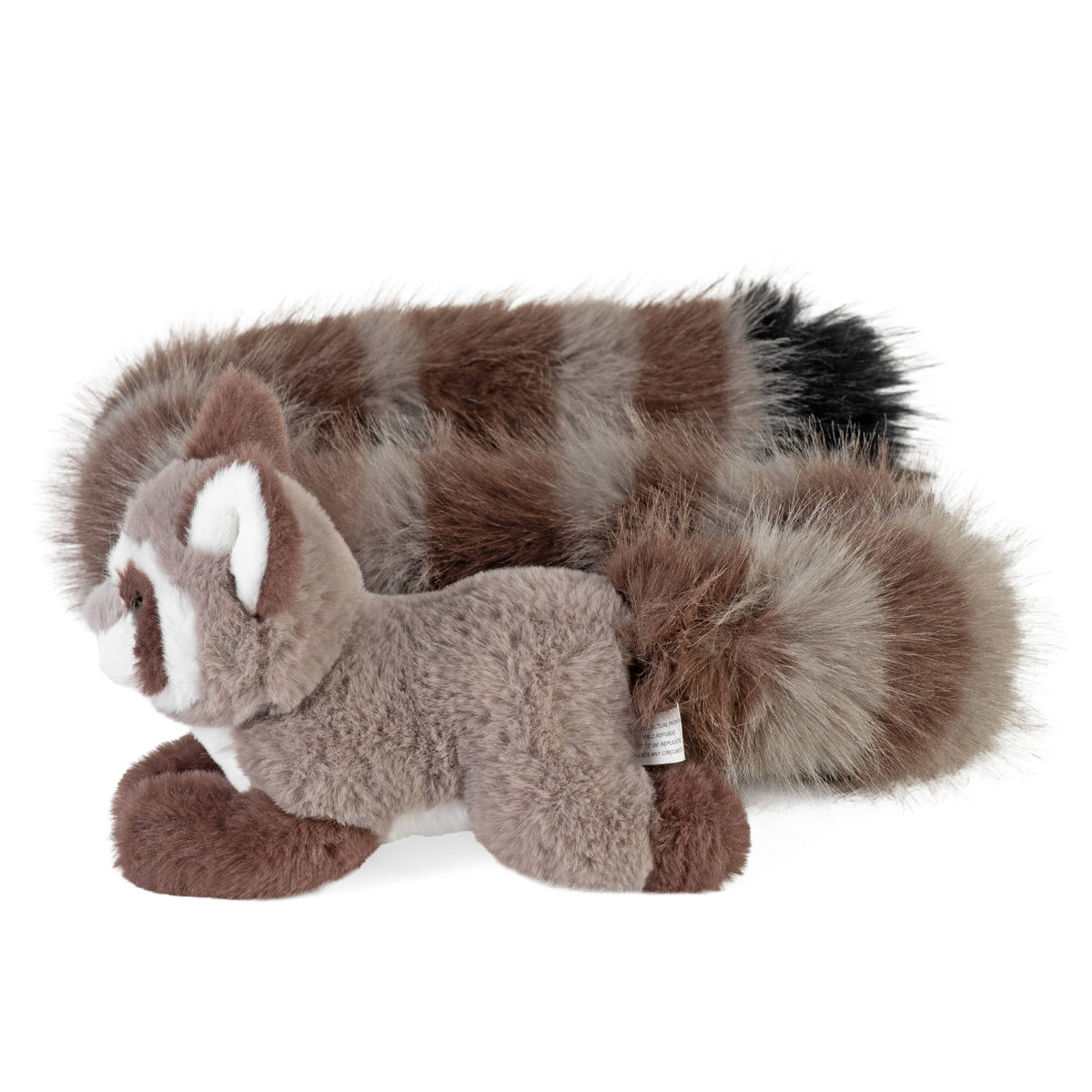 Tailkins Raccoon