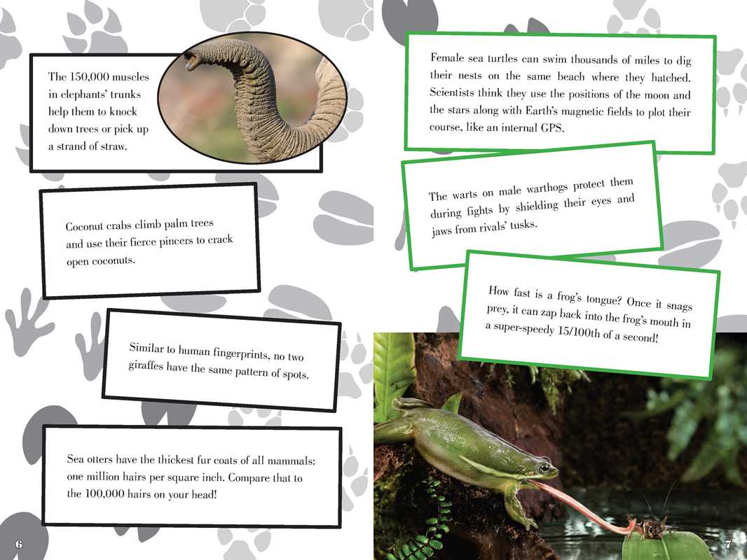 Incredible Book of Outrageous Facts for Kids by Nancy Furstinger