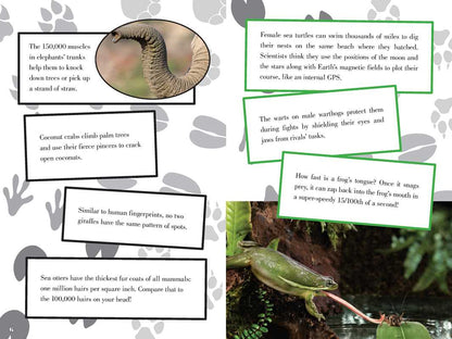 Incredible Book of Outrageous Facts for Kids by Nancy Furstinger