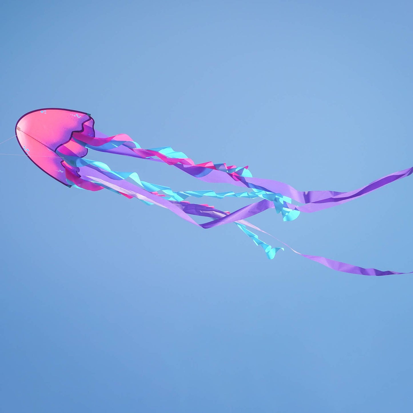 22" Jellyfish Dancing Dragon Kite