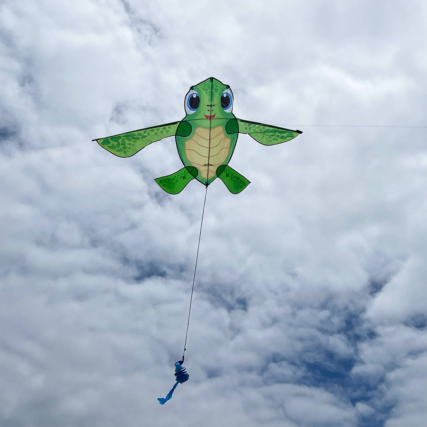 Baby Tortuga Kite