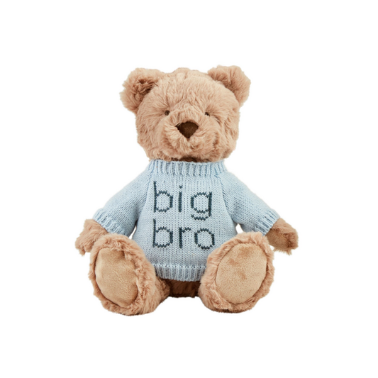 Meet Big Brother Bear