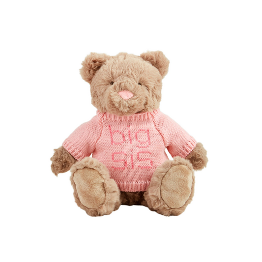 Meet Big Sister Bear