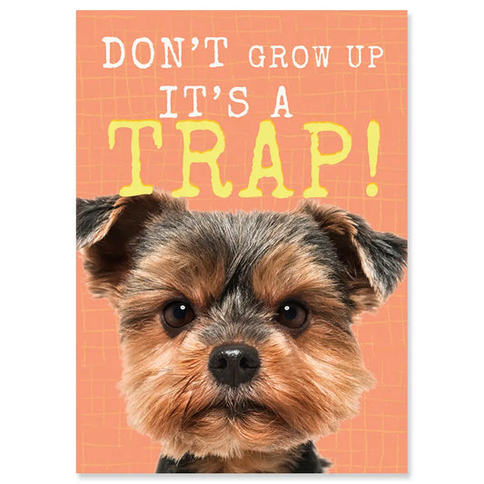 It's a Trap Birthday Card